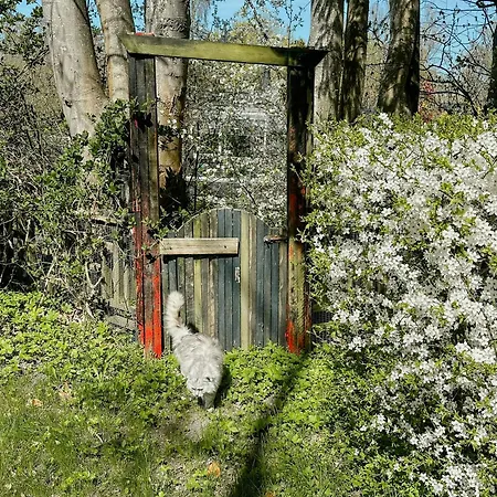 Hébergement de vacances Enchanted Garden By Kulhuse Jægerspris